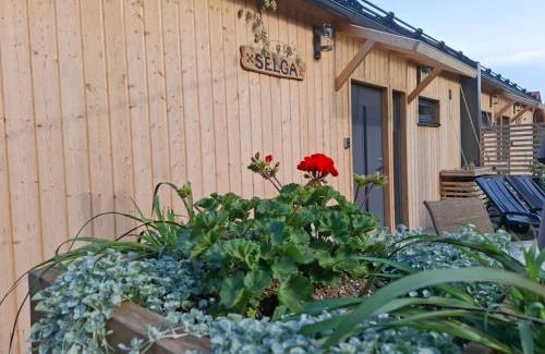 Pieriga House | Jūras dzintars