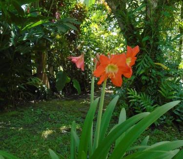 Carenero Island House | J and H Garden Cabinas