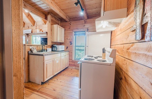 Townsend Cabin | J Willy's Refuge: Pet Friendly, Free Attraction Tickets, Hot Tub, Mtn View