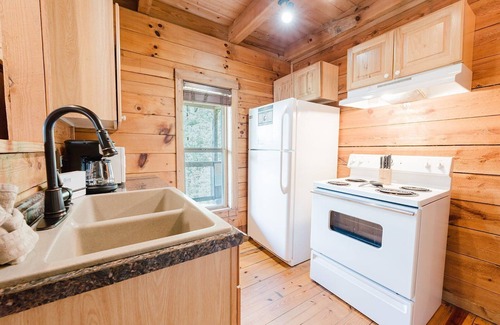 Townsend Cabin | J Willy's Refuge: Pet Friendly, Free Attraction Tickets, Hot Tub, Mtn View