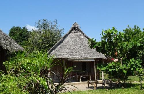 Chuini Bed & Breakfast | Jabar Lodge
