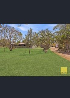 Deepwater House | Jabiru (Stork) Wetland Farmstay