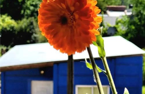 Las Flores Apartment | JACARANDA Alojamiento Temporario