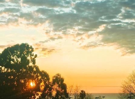 Olivos Apartment | Jacaranda Olivos Lofts