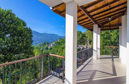 Primrose House | Jack Tree Lodge