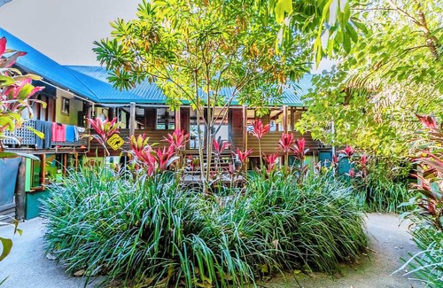 Bingil Bay Hostel | Jackaroo Treehouse Mission Beach