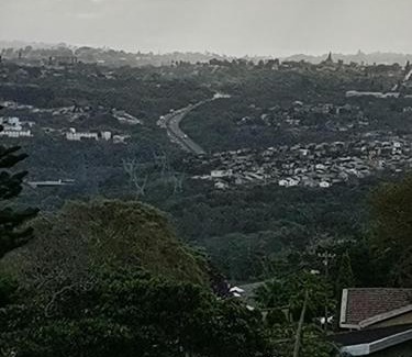 Berea House | JackyCom