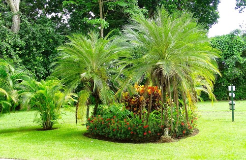 Barrio Santa Lucia Apartment | Jaco Beach Apartments