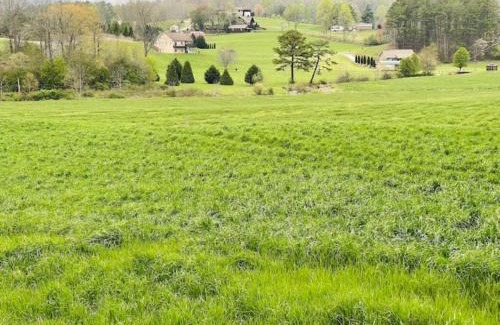 Blairsville House | Jacuzzi, Fireplace, Nature, Views, Peaceful, Patio