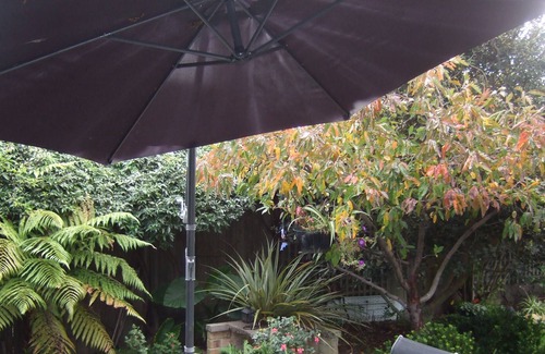 Springlands Bed & Breakfast | Jade Owl Bed and Breakfast