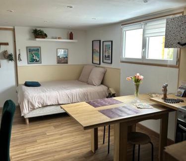 Saint-Jacques-de-la-Lande Apartment | "Jade" Studio sur jardin jacuzzi