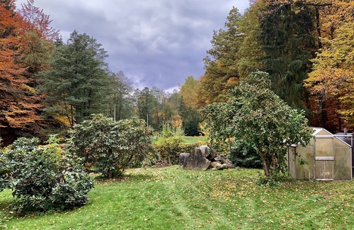 Oppach House | Jägerhaus Oppach (secluded location) forest house with lake