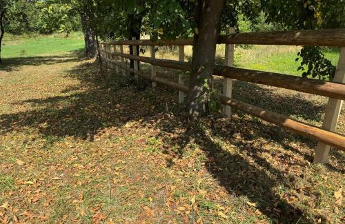 Pale House | Jahorina Shack