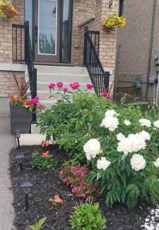 Winona House | Jahsavvy's Nest