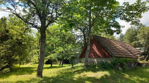 Dubicze Cerkiewne Ski Chalet | Jakubowo