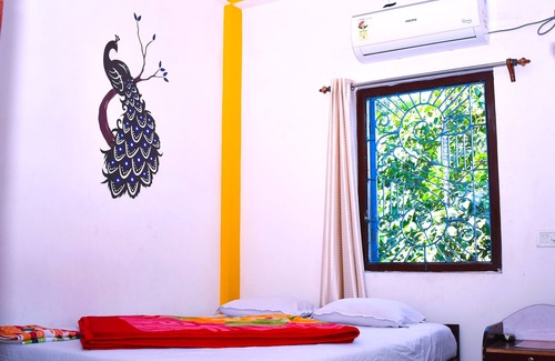 Alipurduar House | Jaldapara Binay Chapa Homestay
