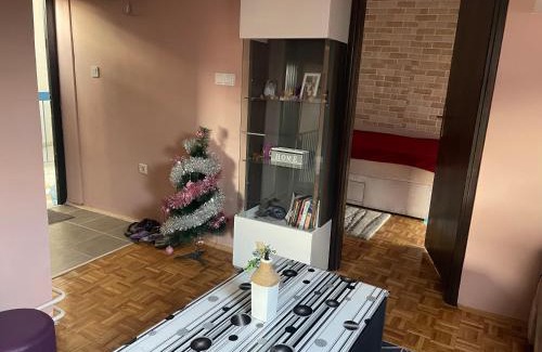 Bistrica Apartment | Jana