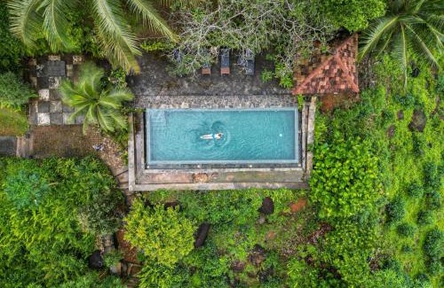 Weddagala Resort | Jansen’s Bungalow Sinharaja Rainforest Retreat