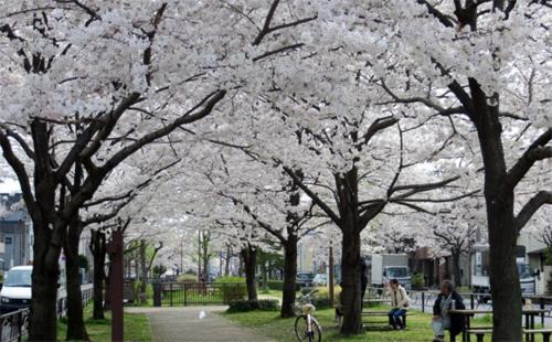 Kameari Apartment | JAPAN Stay PEARL パール 大手町まで乗換無し 23分Disney 羽田空港 ゆうゆう座って移動 直行バス 東部地域病院まで徒歩1分