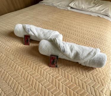 Bairro Jardim Botanico Apartment | Jardim Botânico Curitiba