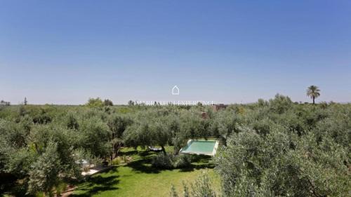 Chwiter Villa | Jardin Bleu