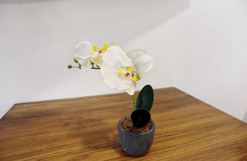 Casco Historico de Arucas Apartment | Jardin Cardona