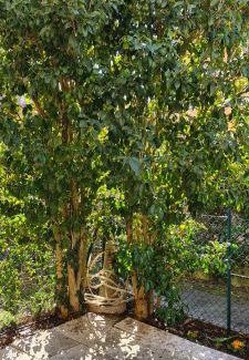 Vicenza Apartment | Jasmine Country House