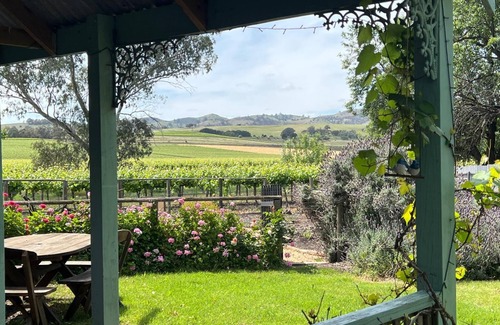 Lyndoch House | Jasmine's Cottage Barossa Valley Vineyard Views