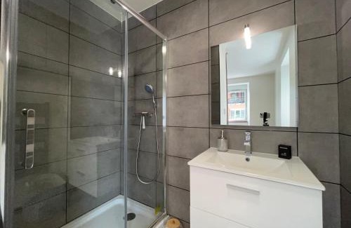 La Roche-sur-Foron Apartment | Jaurès 1 - avec terrasse, proche gare