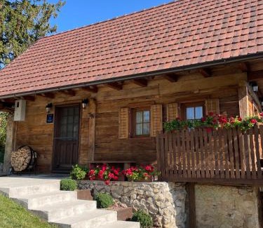 Zumberak Ski Chalet | Javor Holiday House