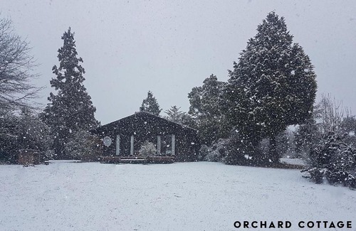 Hogsback Apartment | JAYA'S PLACE