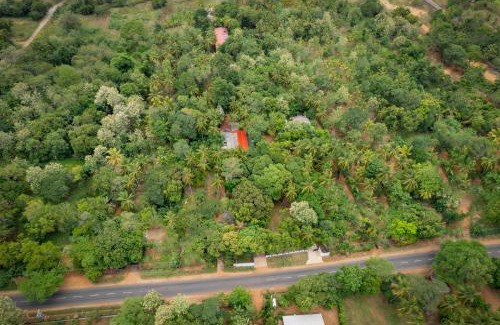 Dambulla Hotel | JC's Village