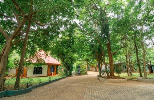 Dambulla Hotel | JC's Village