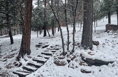 Ruidoso Cabin | JD CABIN!