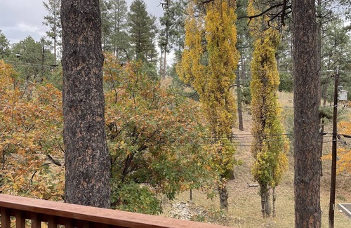 Ruidoso Cabin | JD CABIN!
