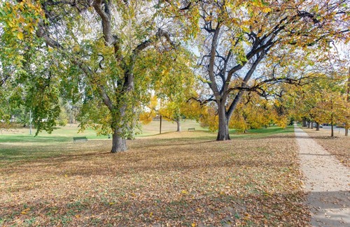 Jefferson Park Apartment | Jefferson Park Apartment Walk to Empower Field!