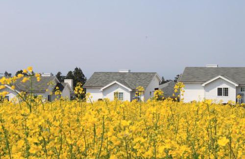 Nohyeong-dong House | Jeju Skyline Pension