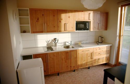 Kurzeme Apartment | JEKAUPI
