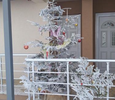 Ciganska Mahala Apartment | Jelenin konak