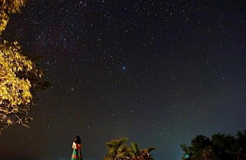 Maria Resort | Jelly Sea Resort