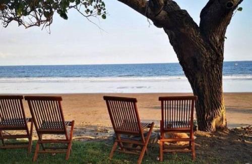 Negara House | Jembrana Bali Homestay