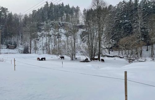 Decin Resort | Jeskyně Jánská