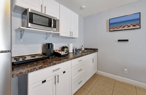 Bearss Plaza Apartment | "JetPad Tampa" Modern studio near Busch Gardens & Airport