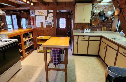 Luray Cabin | Jewell Hollow Homestead | 3 Bed, 2 Bath