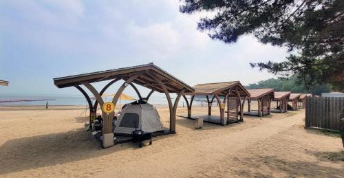 Jincheon Other | Jincheon Daol Camp Site