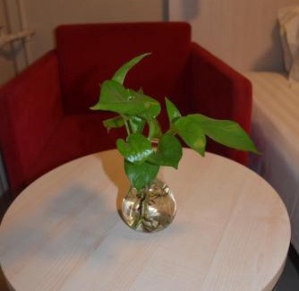 Fengtai Hotel | Jinjiang Inn Beijing Fengtai East Avenue Railway Station
