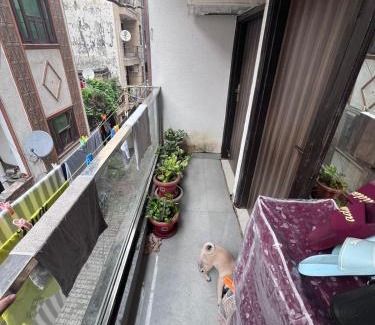 Chhatarpur Apartment | Jiya-Vira Home