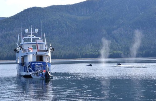 Friday Harbor Boat Rental | Join Bear Paw, your 90' private charter yacht cruising the San Juan Islands, WA