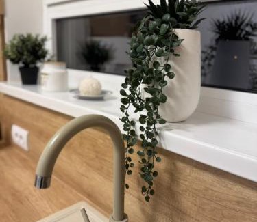Paracin Apartment | Jokica apartmani