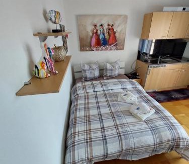 Belmont-sur-Lausanne Apartment | Joli studio avec terrasse et vue POUR NON FUMEURS